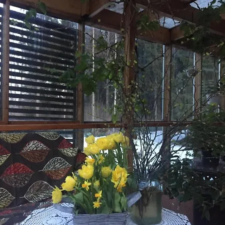 B&B Villa Selkola Oda ve Kahvaltı Uusikyla